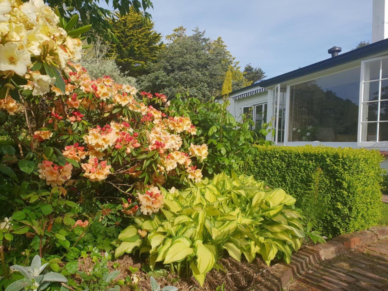 Whiteacres Bed & Breakfast Invercargill Exterior photo